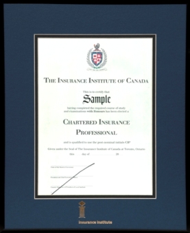 Satin black metal frame for CIP certificate